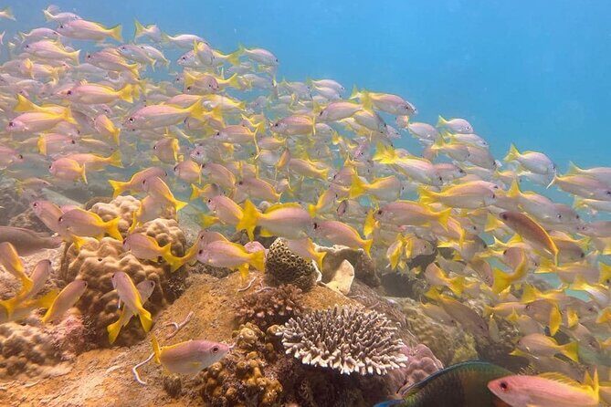 Koh Rong Sanloem Diving for Beginners - FAQ