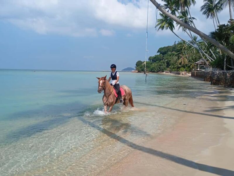 Koh Samui: 1-Hour Horseback Riding on Taling Ngams Shores - Key Points