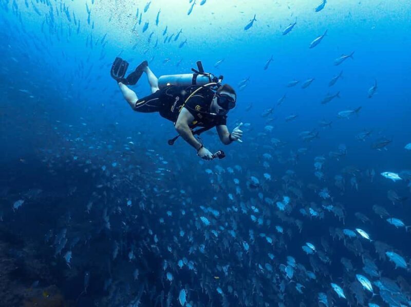 Koh Samui: 3-Day PADI Open Water Diver Course - Introduction