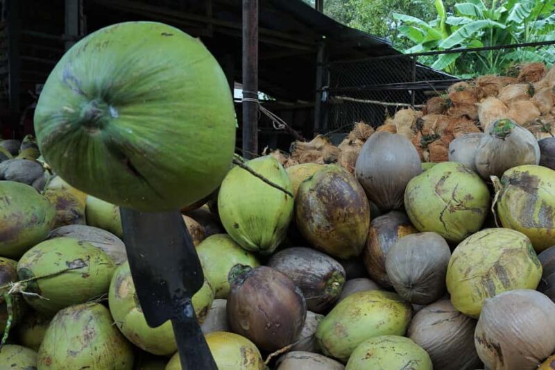 Koh Samui: 4x4 Off-Road Island Safari Tour & Lunch - The Sum Up: Who is This Tour Best For?