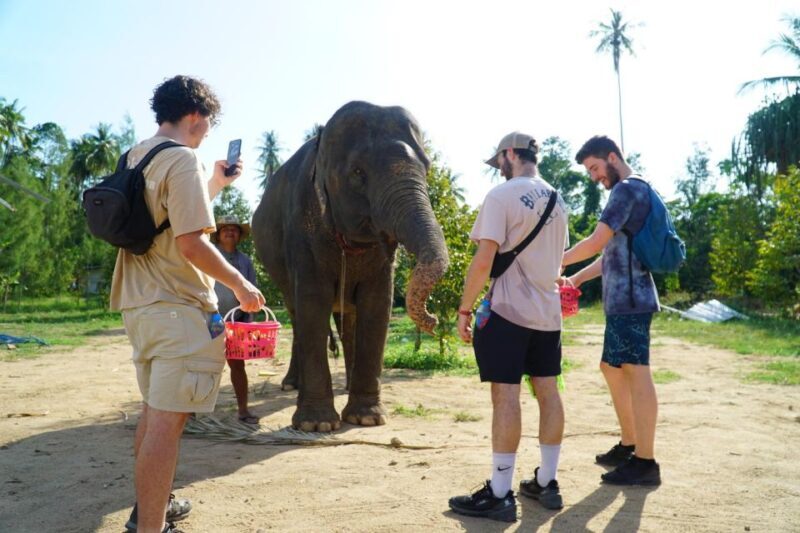 Koh Samui: 4x4 Sightseeing Safari & Elephant Sanctuary Tour - What to Expect on the Tour