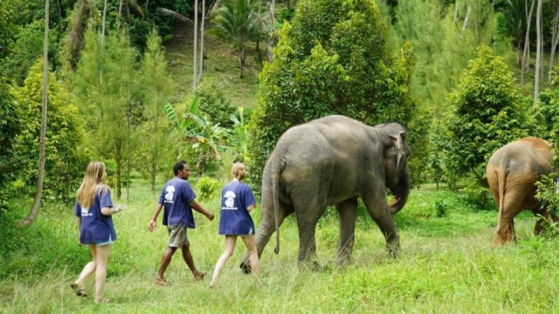 Koh Samui: 4x4 Sightseeing Safari & Elephant Sanctuary Tour - Who Should Consider This Tour?