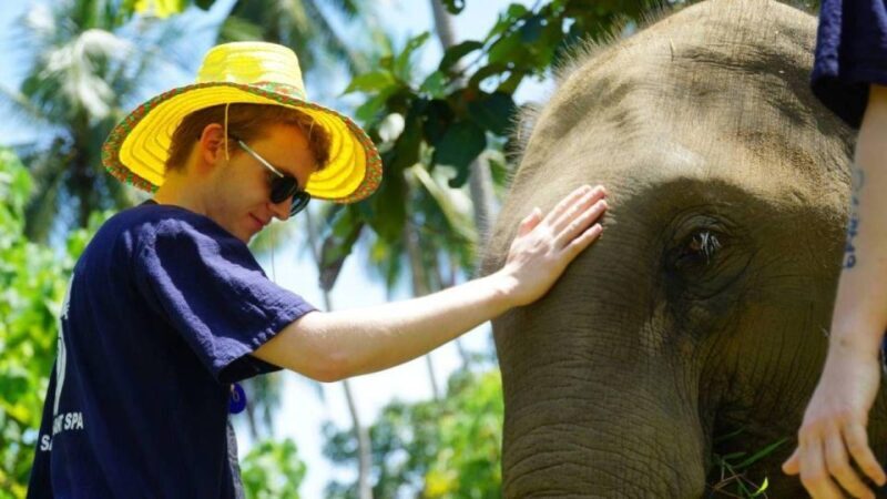 Koh Samui: 4x4 Sightseeing Safari & Elephant Sanctuary Tour - Final Thoughts