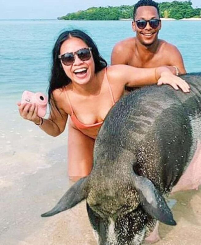 Koh Samui: Amazing Pig Island Tour - Cruise Ship Tours - Key Points