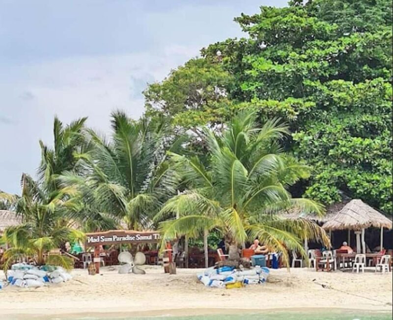 Koh Samui: Amazing Pig Island Tour - Cruise Ship Tours - Authentic Experiences Highlighted by Reviewers