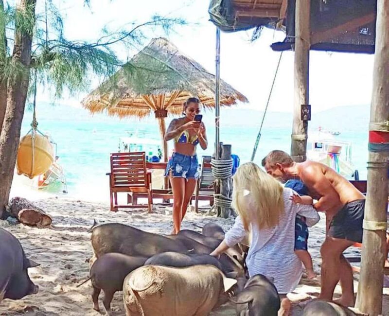 Koh Samui: Amazing Pig Island Tour - Cruise Ship Tours - The Sum Up