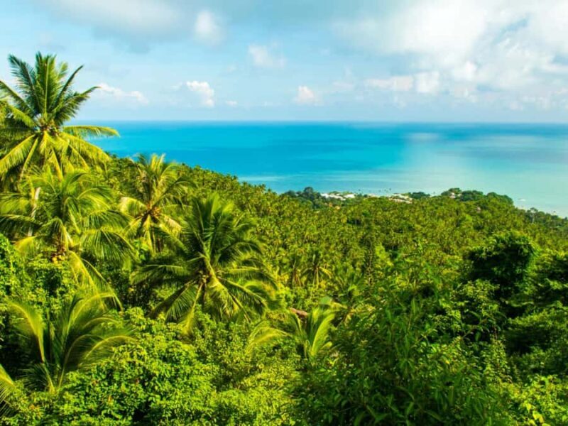 Koh Samui: ATV Jungle Adventure - Waterfalls & Views - Value and Practicalities