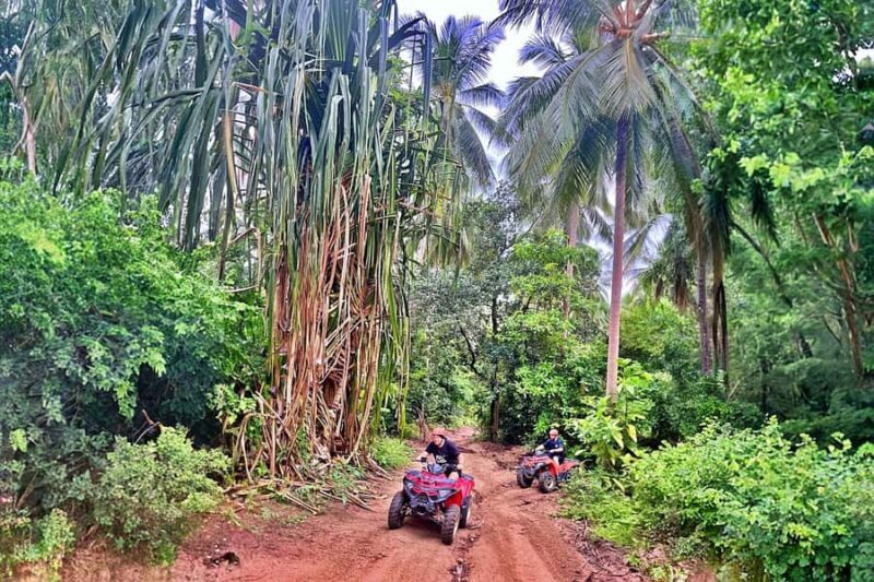 Koh Samui: ATV Quad Bike Adventure - Waterfall & Views - The Experience for Different Travelers