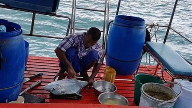 koh-samui-day-fishing-private-group