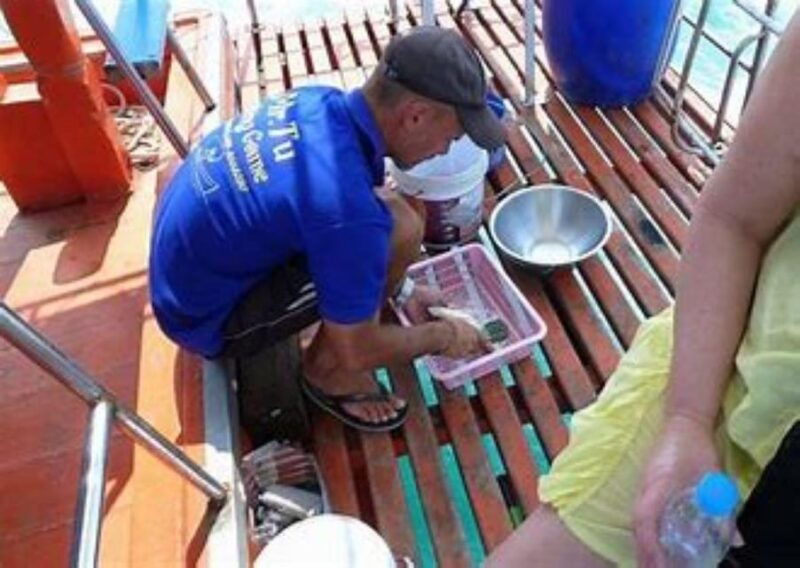 koh-samui-day-fishing-private-group