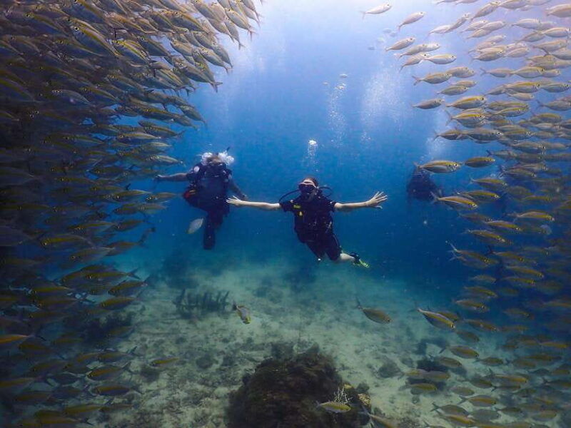 koh-samui-discovery-dive-to-koh-tao-or-sail-rock