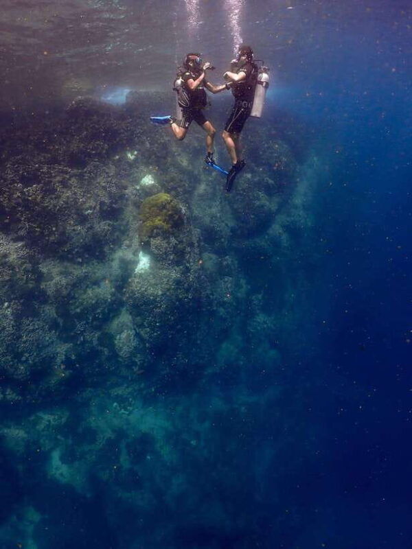 koh-samui-discovery-dive-to-koh-tao-or-sail-rock