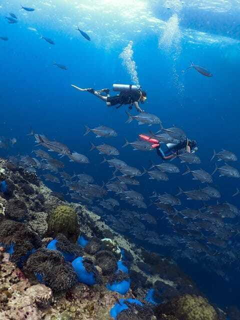 koh-samui-discovery-dive-to-koh-tao-or-sail-rock