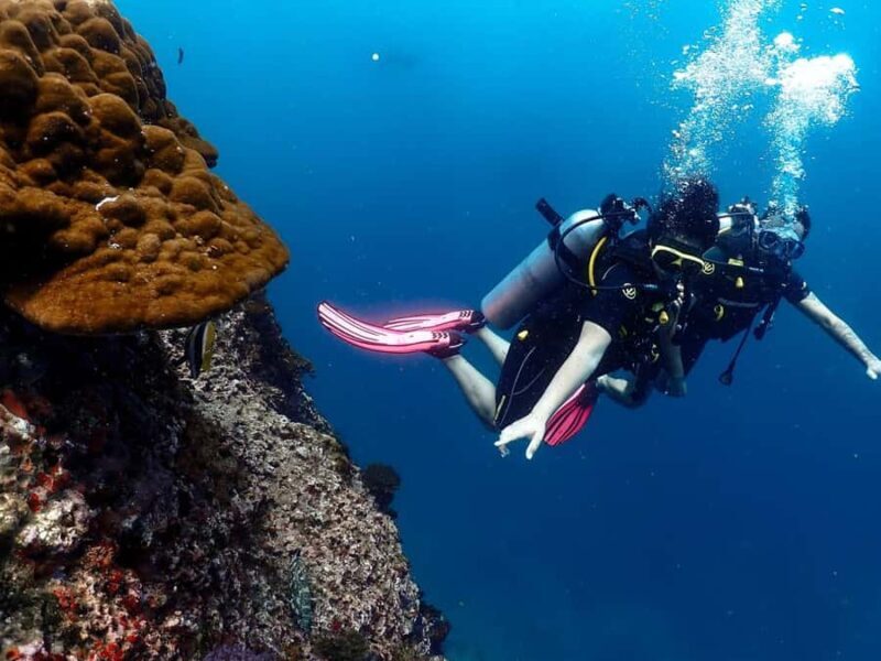 Koh Samui: Dive Tour Chumphon Pinnacles - Key Points