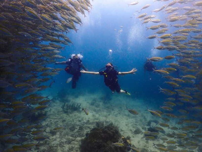 Koh Samui: Dive Tour to Koh Tao - Who Is This Tour Best For?