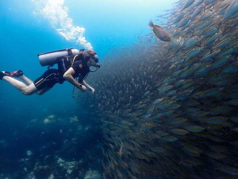 Koh Samui: Dive Tour to Koh Tao - FAQ