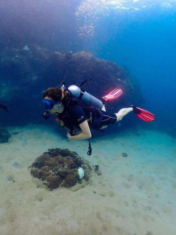 koh-samui-dive-tour-to-koh-tao