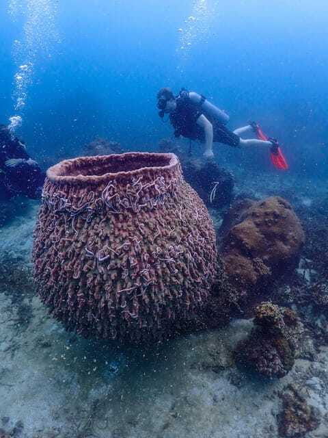 koh-samui-dive-tour-to-koh-tao