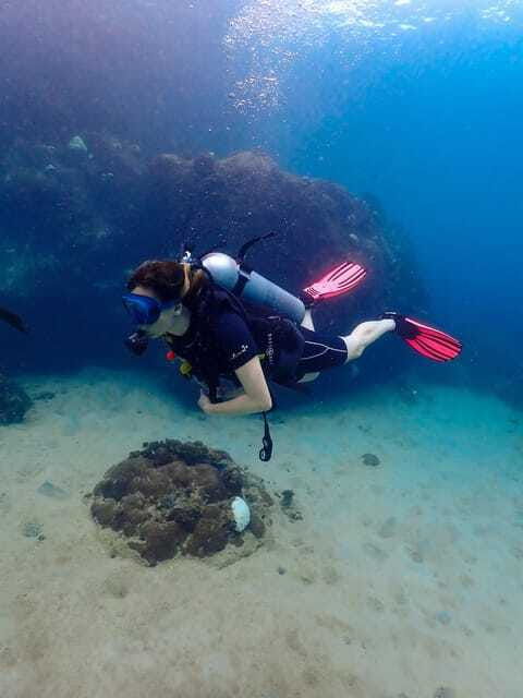 koh-samui-dive-tour-to-koh-tao