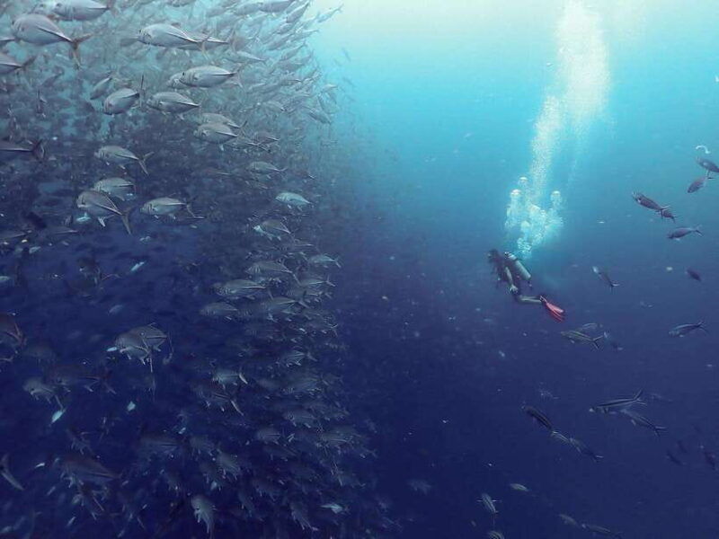 koh-samui-dive-tour-to-sail-rock