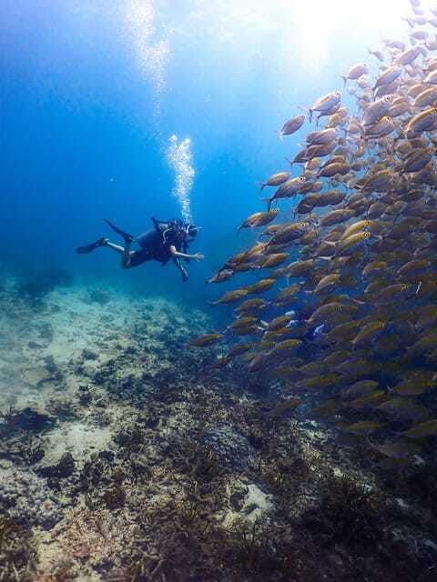 koh-samui-dive-tour-to-sail-rock