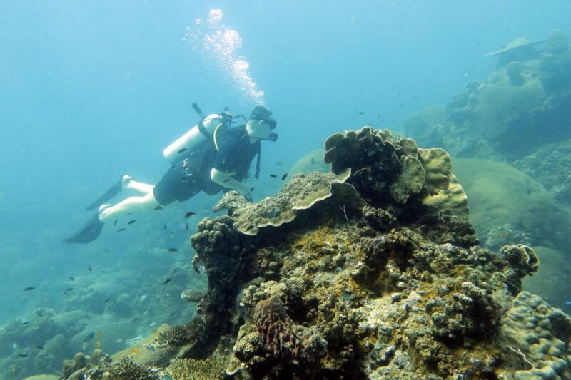 koh-samui-dive-trip-experience-in-koh-tao