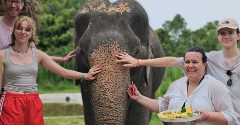 Koh Samui: Elephant Sanctuary and Jungle Tour with Lunch - Final Thoughts