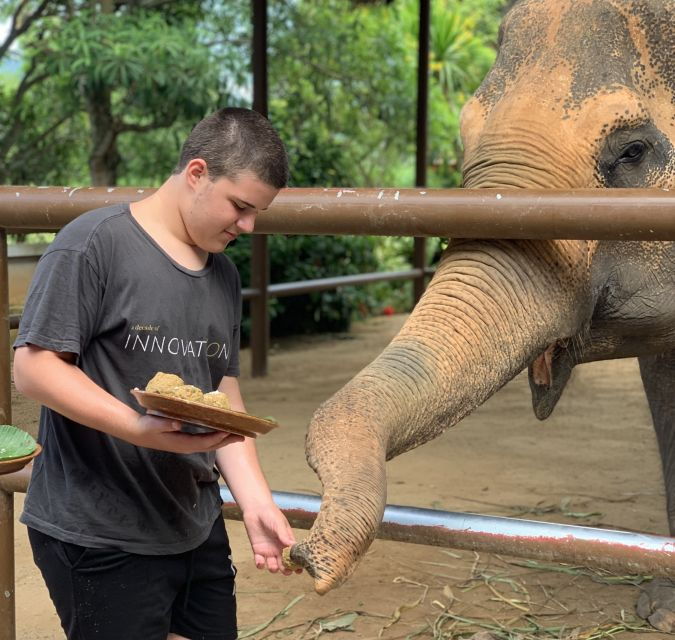 koh-samui-elephant-sanctuary-and-jungle-tour-with-lunch