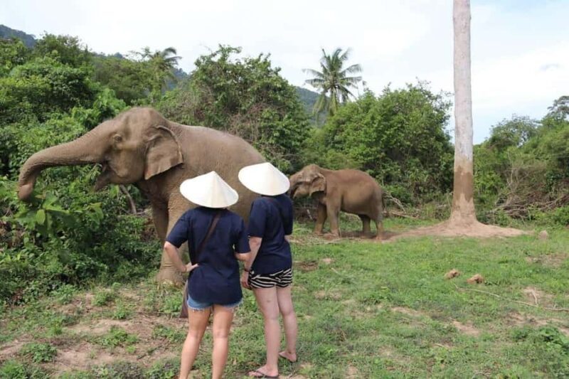Koh Samui: Elephant Sanctuary and more - Full Day - Key Points