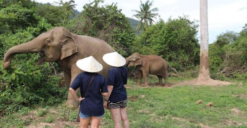 koh-samui-elephant-sanctuary-and-more-full-day