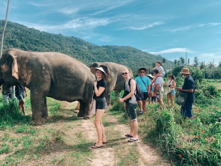 koh-samui-elephant-sanctuary-and-more-full-day