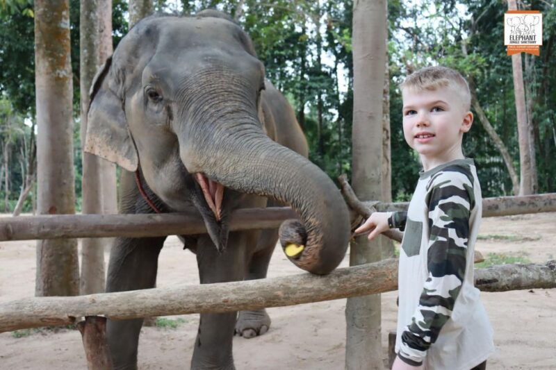 koh-samui-elephant-sanctuary-entry-and-feeding-experience
