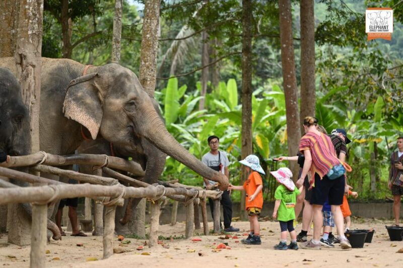 koh-samui-elephant-sanctuary-entry-and-feeding-experience