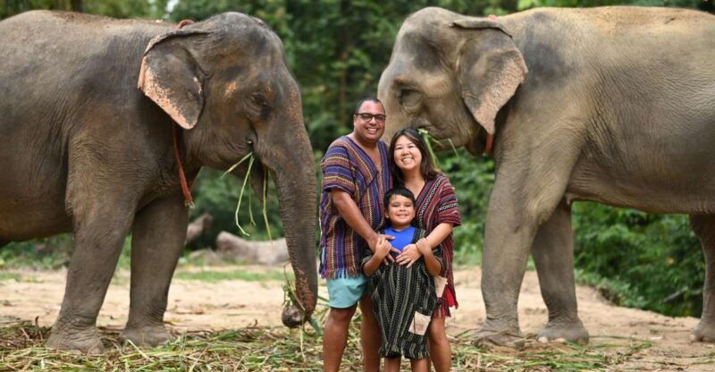 koh-samui-elephant-sanctuary-entry-and-feeding-experience