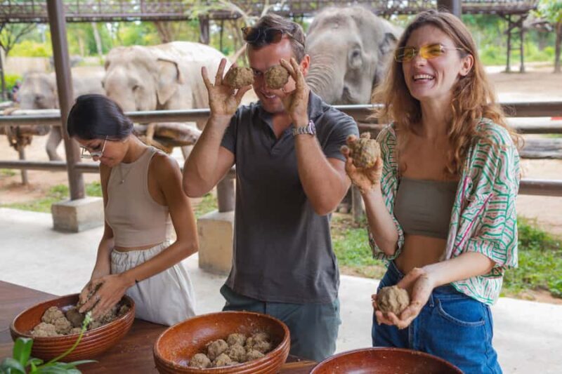 Koh Samui: Elephant Sanctuary Tour with Lunch & Pickup - Authentic Experiences & Review Highlights