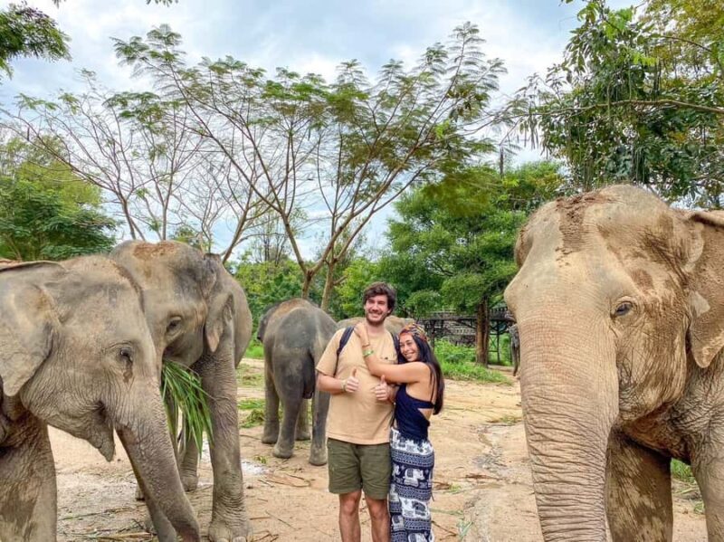 Koh Samui: Elephant Sanctuary Tour with Lunch & Pickup - FAQ