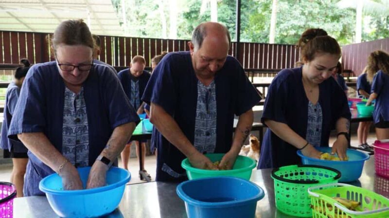 Koh Samui: Elephant Sanctuary Visit with Mud Spa & Lunch - Key Points