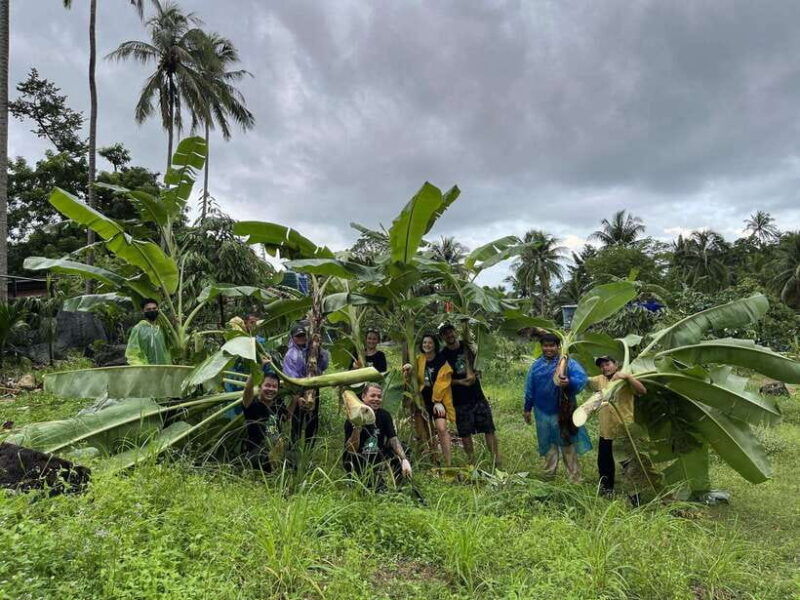 koh-samui-ethical-elephant-sanctuary-tour-with-buffet-lunch