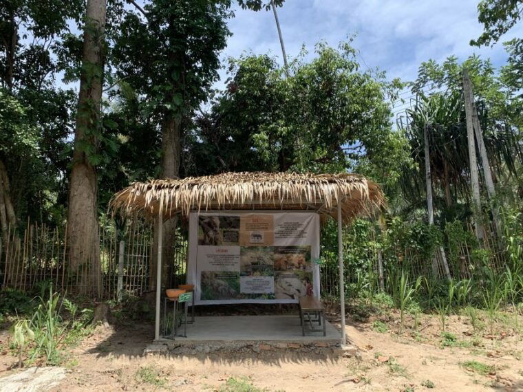 koh-samui-ethical-elephant-sanctuary-tour-with-buffet-lunch