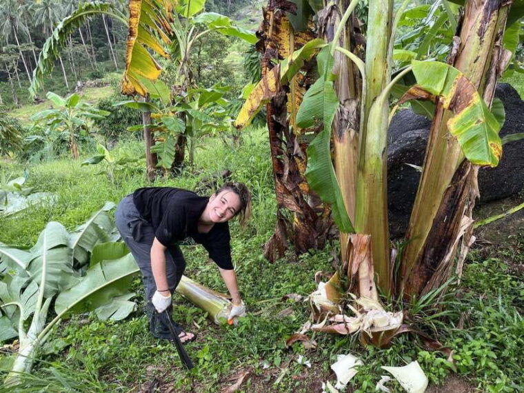 koh-samui-ethical-elephant-sanctuary-tour-with-buffet-lunch