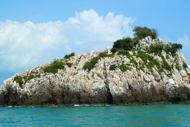 Koh Samui: Fishing Day Tour by Escort Boat with Mr. Tu - Who Will Love This Tour?