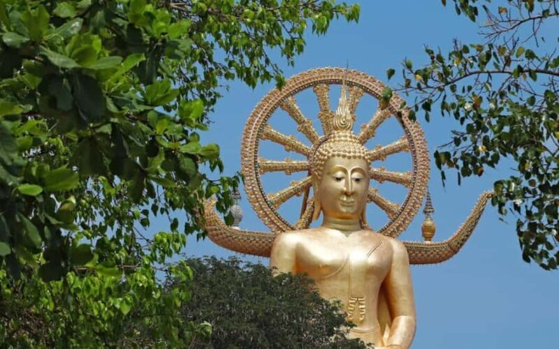 Koh Samui: Half-Day Highlights Tour with Hotel Transfers - Transportation, Group Size, and Practical Details