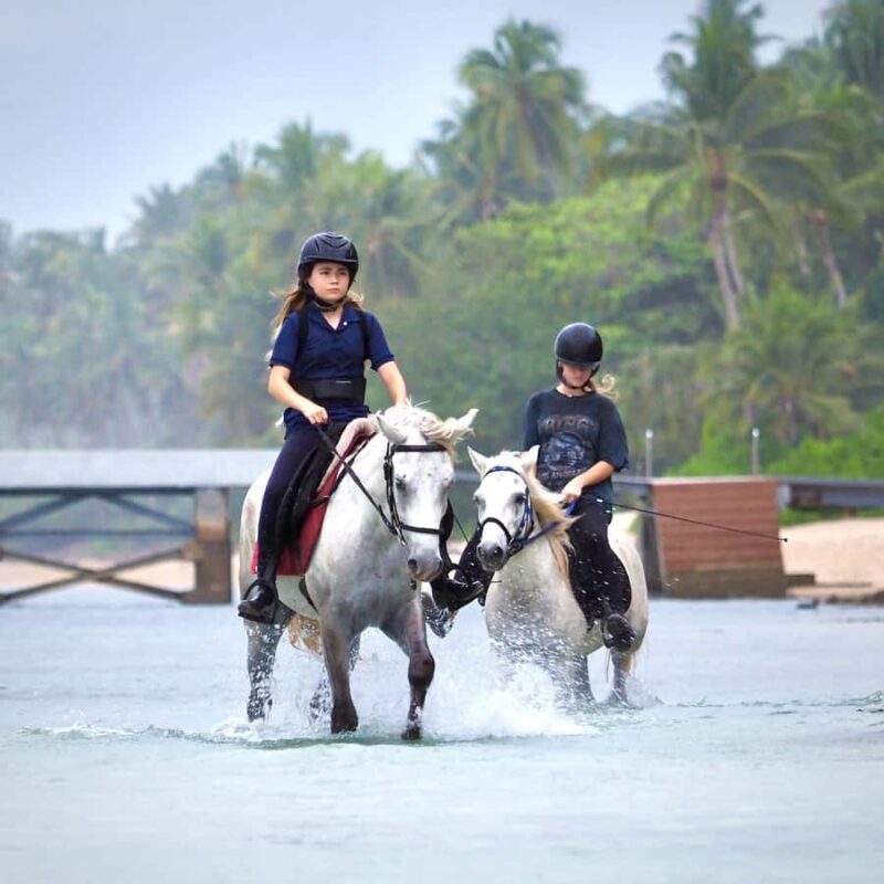 Koh Samui Horse Riding & Beach Trails - Key Points