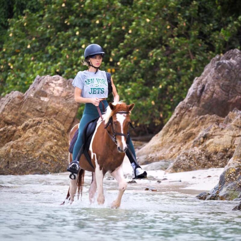Koh Samui Horse Riding & Beach Trails - An Authentic Look at Koh Samui Horse Riding & Beach Trails