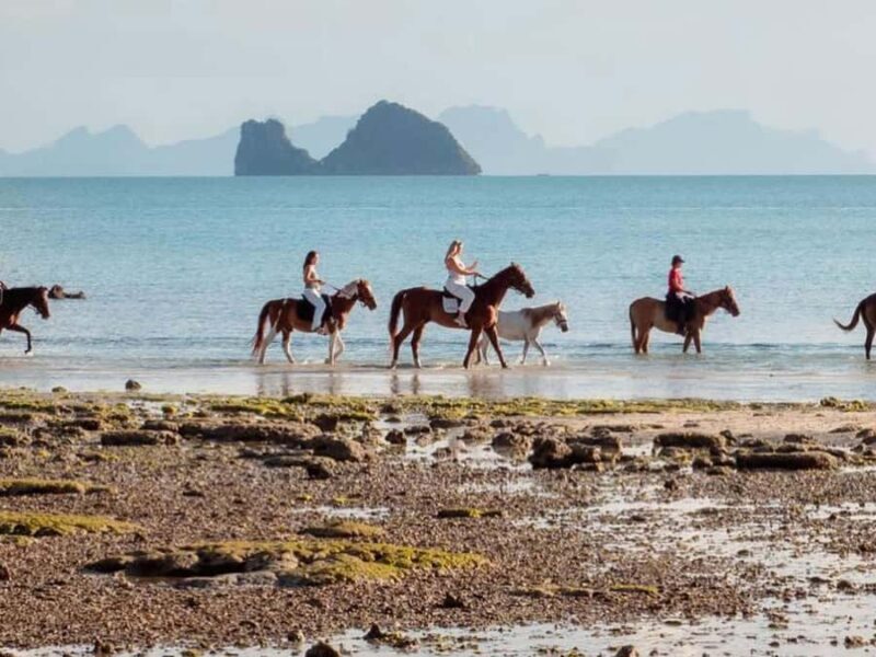 Koh Samui Horse Riding & Beach Trails - FAQs