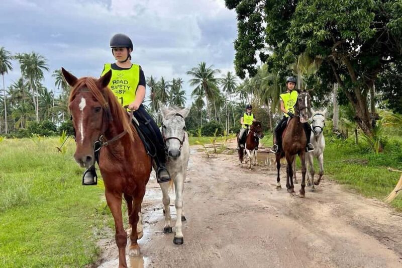 Koh Samui Horse Riding & Beach Trails - Final Thoughts