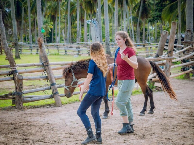 koh-samui-horse-riding-beach-trails