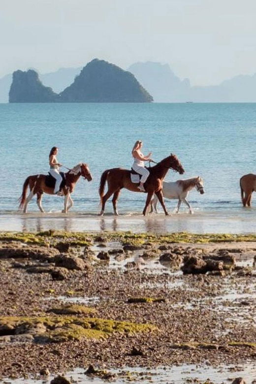 koh-samui-horse-riding-beach-trails