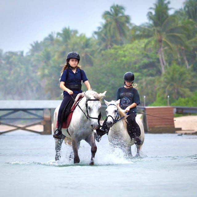 koh-samui-horse-riding-beach-trails