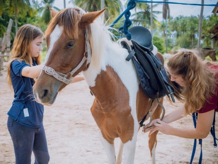koh-samui-horse-riding-beach-trails